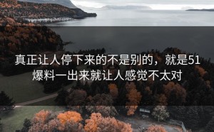 真正让人停下来的不是别的，就是51爆料一出来就让人感觉不太对