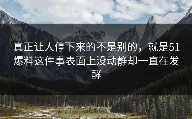 真正让人停下来的不是别的，就是51爆料这件事表面上没动静却一直在发酵