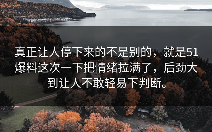 真正让人停下来的不是别的，就是51爆料这次一下把情绪拉满了，后劲大到让人不敢轻易下判断。