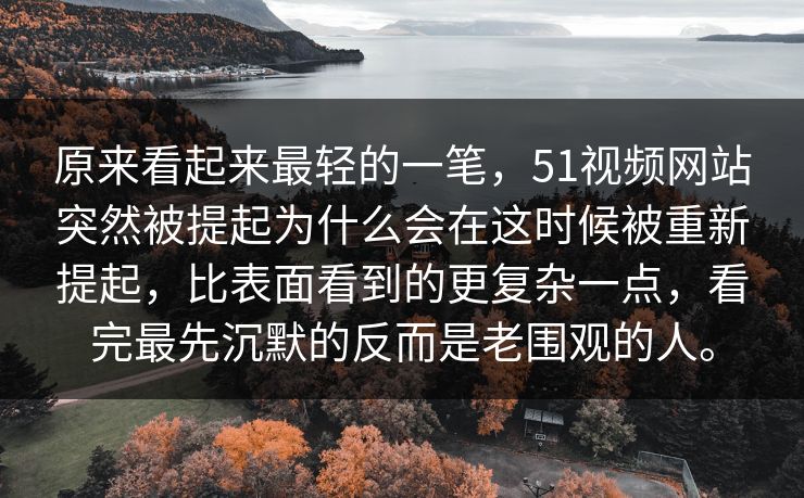 原来看起来最轻的一笔，51视频网站突然被提起为什么会在这时候被重新提起，比表面看到的更复杂一点，看完最先沉默的反而是老围观的人。